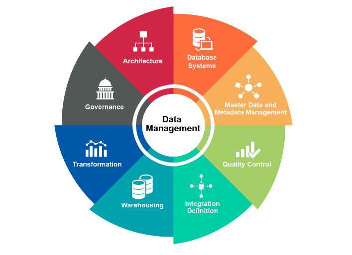 Navigating Data Management: Addressing Scarce Analytics Talent